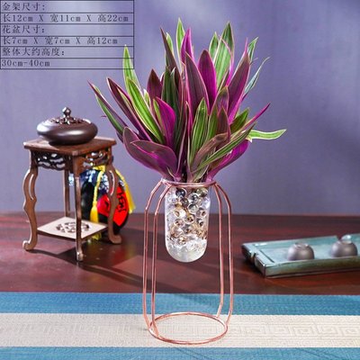 水培紫露兰盆栽花卉油画吊兰植物好养美观四季客厅办公室桌面绿植