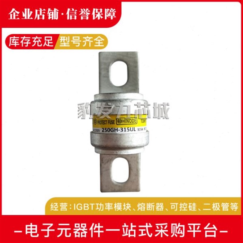 250GH-200UL 25o0GH-250UL 250GH-315UL快速熔断器  保险丝现货