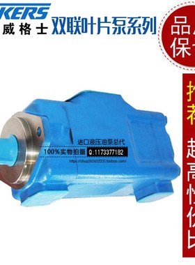 新款海天注塑机专用液压油泵4535V60A38/30/35N/25 1C22R高低压叶