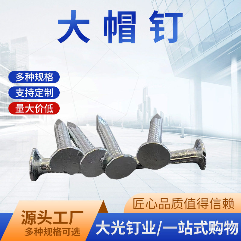 镀锌轻型平头大帽钉现货批发