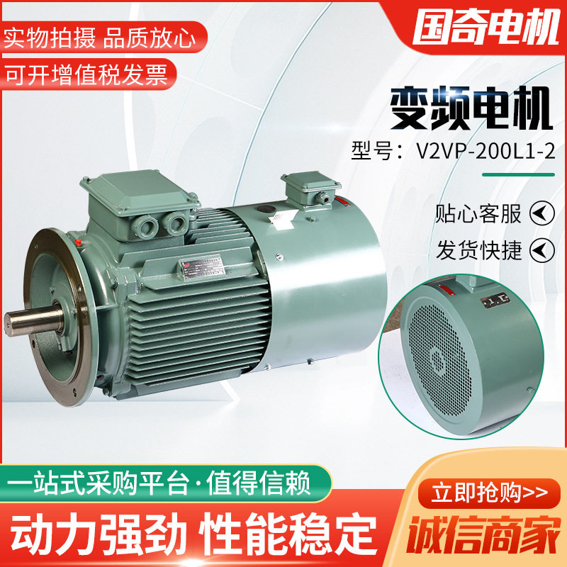 变频电机V2VP-200L1-2立式卧式30KW变频调速电机纯铜电机