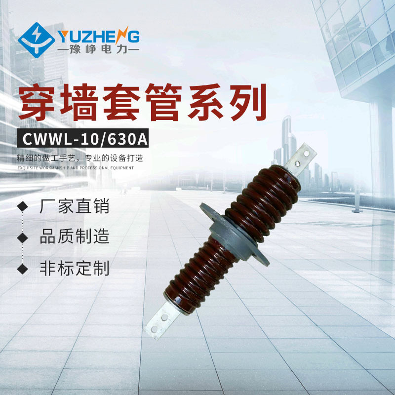 陶瓷CB.CWB.CWW-10/630A铜导体高压10KV穿墙套管耐腐蚀耐高温