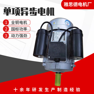 2.2KW 2极 220V 单相电动机 铜线机芯 厂家供应 2880转 YL90L22