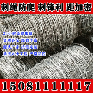 吉林刺绳铁丝网铁蒺藜带刺围栏防爬刺防盗刺墙上户外钢丝网加粗超