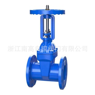 给水闸阀 明杆弹性座封闸阀软密封法兰闸阀 Z41X 25Q