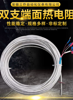 供应双支轴瓦端面热电阻WZPM2-001 垫片安装 PT100电阻 温度仪表