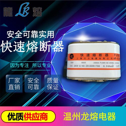 快速熔断器RS8 800V 1600A P106N BC100KA 105*60 厂家直销