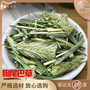 野生狗尾巴草新鲜中药材正品500g特级狗尾草干毛虫草谷莠子九尾草