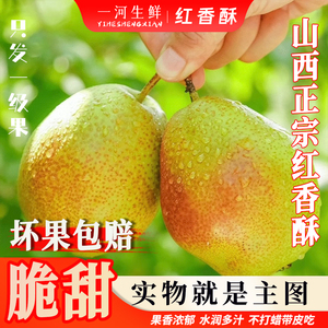 红香酥梨子新鲜水果当应季整箱香梨包邮应季5斤青雪酥梨现季10斤