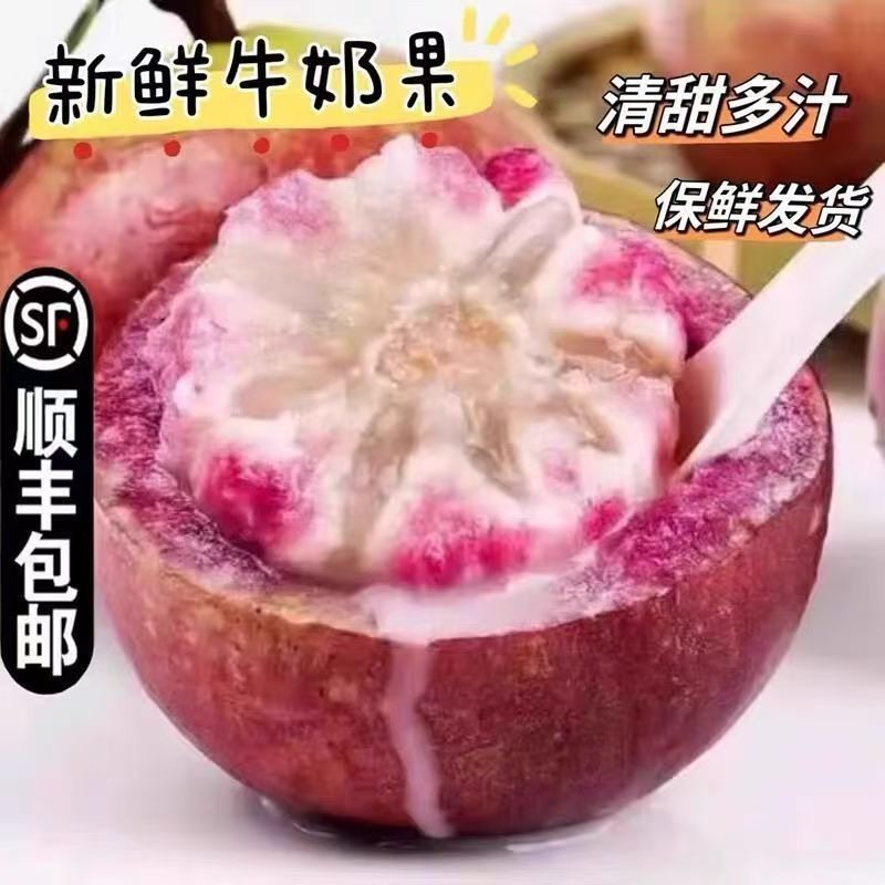【牛奶星苹果】云南新鲜牛奶果星苹果紫皮热带水果牛奶果应季水果,水产肉类/新鲜蔬果/熟食,苹果,淘宝优惠券,粉丝福利购,淘宝优惠卷