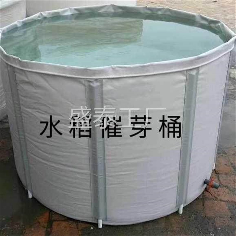 水稻催芽桶 泡稻子桶 PC折叠桶 催芽机大桶养殖桶全国包邮