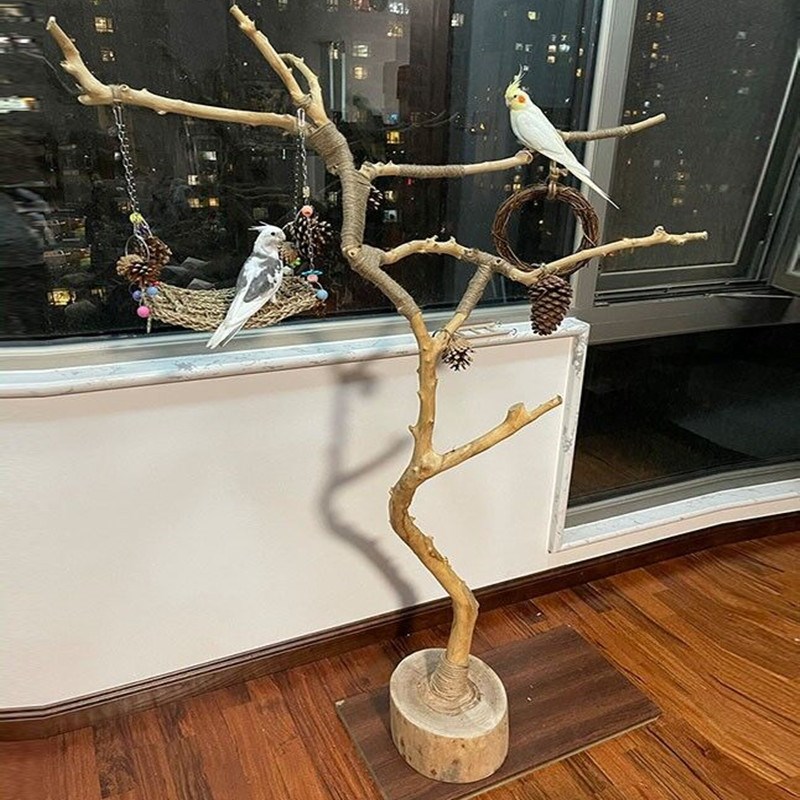 树枝架子干树枝原木树枝杈艺术枯枝去皮树枝鸟站架灯架壁挂衣装饰