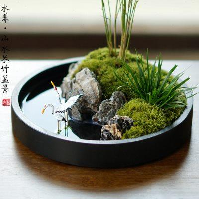 厂家水养米竹山水苔藓盆景懒人盆栽客厅售楼处摆件新中式桌面竹子