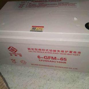 100干电池 医疗消防直流电源 免维护12V100AH GFM 太阳神蓄电池6