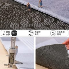 免洗家用灰色极简高级地垫地毯客厅轻奢沙发大茶几毯可擦风小户型