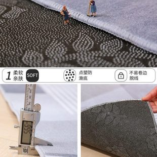免洗家用灰色极简高级地垫地毯客厅轻奢沙发大茶几毯可擦风小户型