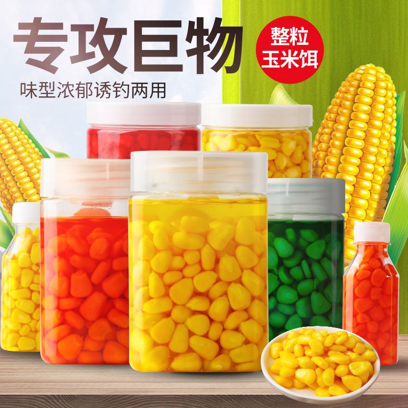 钓鱼甜嫩玉米粒鱼饵野钓挂钩秘制大物草青鱼翘嘴鲤鱼水库专用饵料