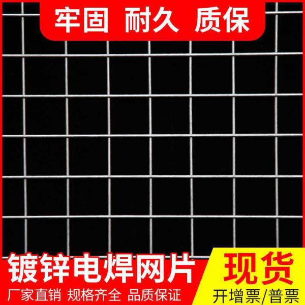 新品直发镀锌铁丝网片围栏铁网格网狗笼养殖网加粗防护钢丝网小孔