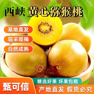 西峡黄心猕猴桃新鲜水果奇异果当季孕妇水果无毛包邮整箱