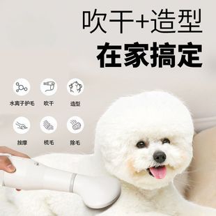 国潮工艺宠物吹风拉毛神器狗狗速干一体蓬松吹风机猫咪泰迪洗澡吹