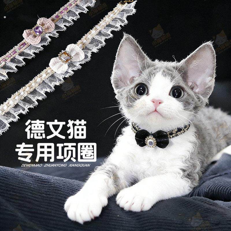 德文猫专用项圈陪嫁猫咪装饰领结蝴蝶结项链颈围结婚生日拍照围领