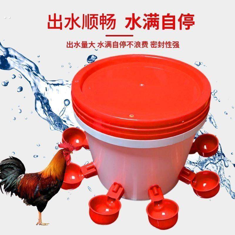 新款鸡鸭鸽子饮水碗雏鸡鸟用饮水器鹌鹑自动喂水器养殖自动喝水器,宠物/宠物食品及用品,鸟禽喂食器/喂水器,淘宝优惠券,粉丝福利购,淘宝优惠卷