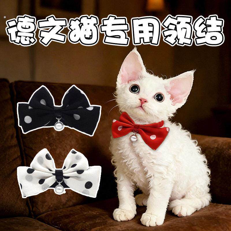 德文猫专用项圈蝴蝶结英伦风圆点领结公猫帅气陪嫁猫结婚装饰围脖