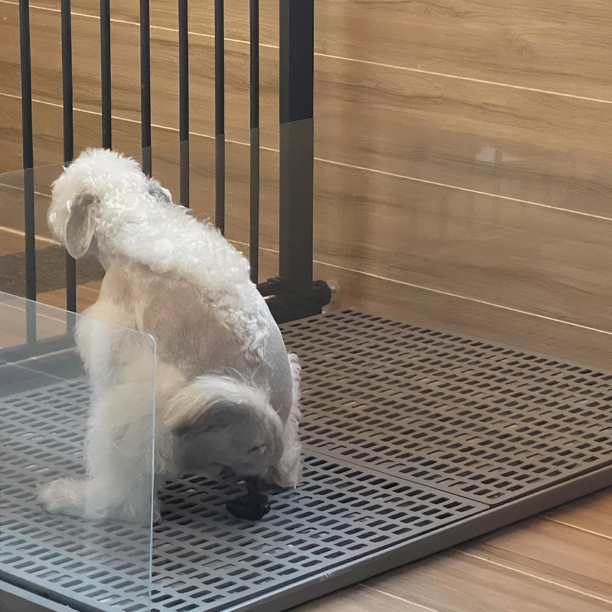 方便易清洁平板狗厕所大号大型犬小型犬通用中型防滑狗尿宠物冲水