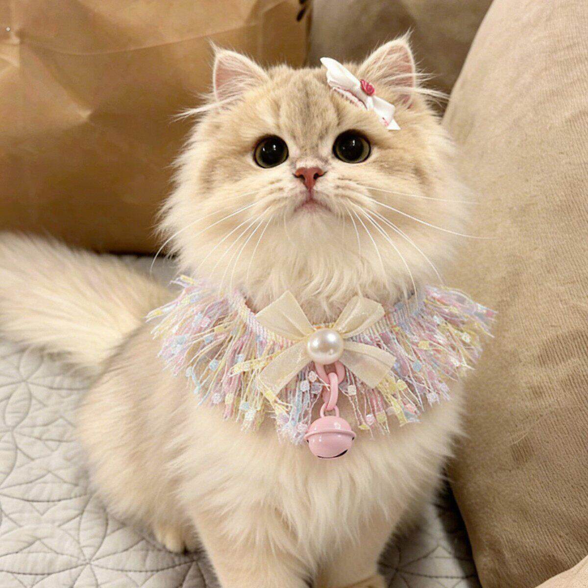 猫咪专用口水巾猫咪项圈流苏项链夏季围兜脖子装配饰品铃铛蝴蝶结