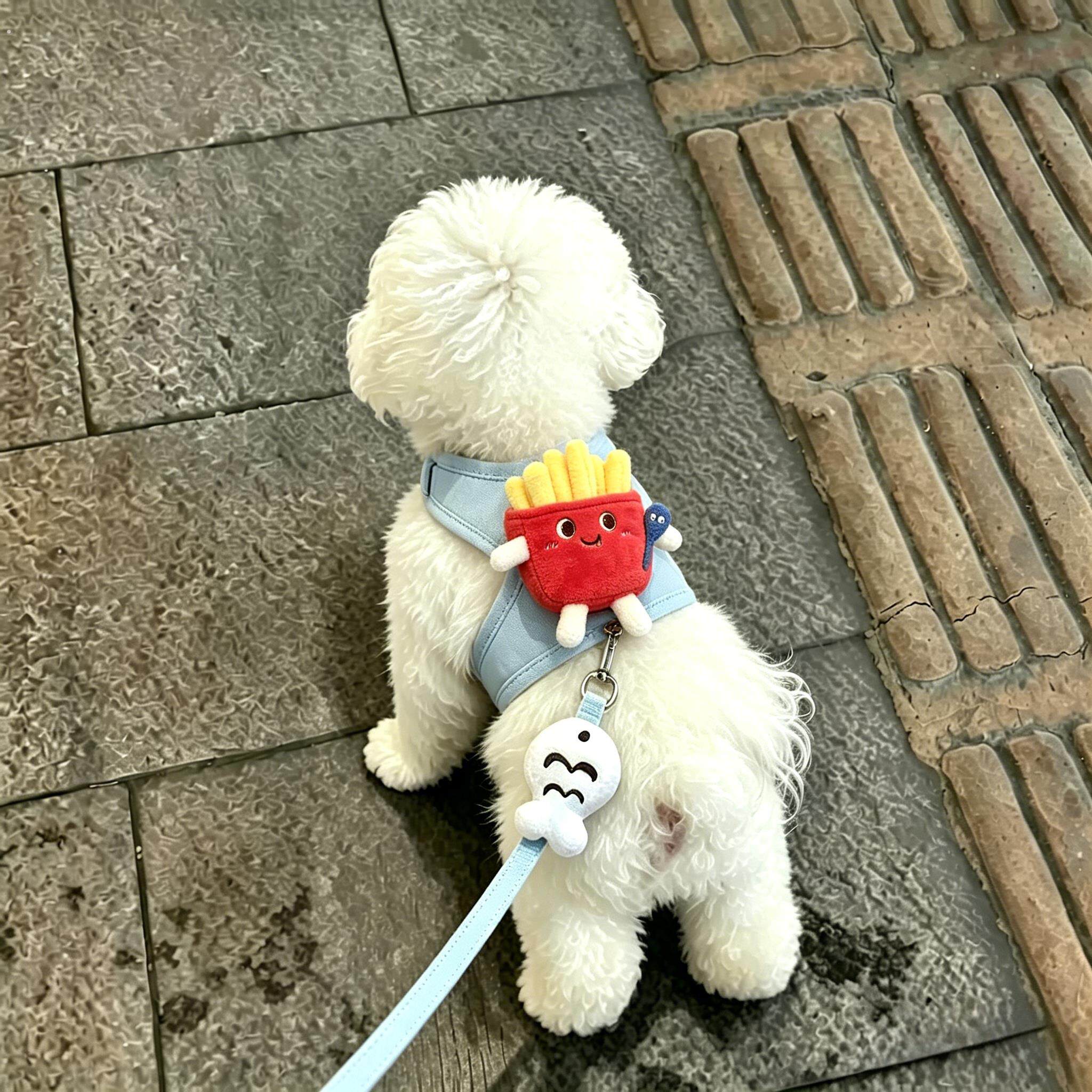 猫咪牵引绳防挣脱外出专用背心式溜猫绳子可调节胸背带猫外出背心