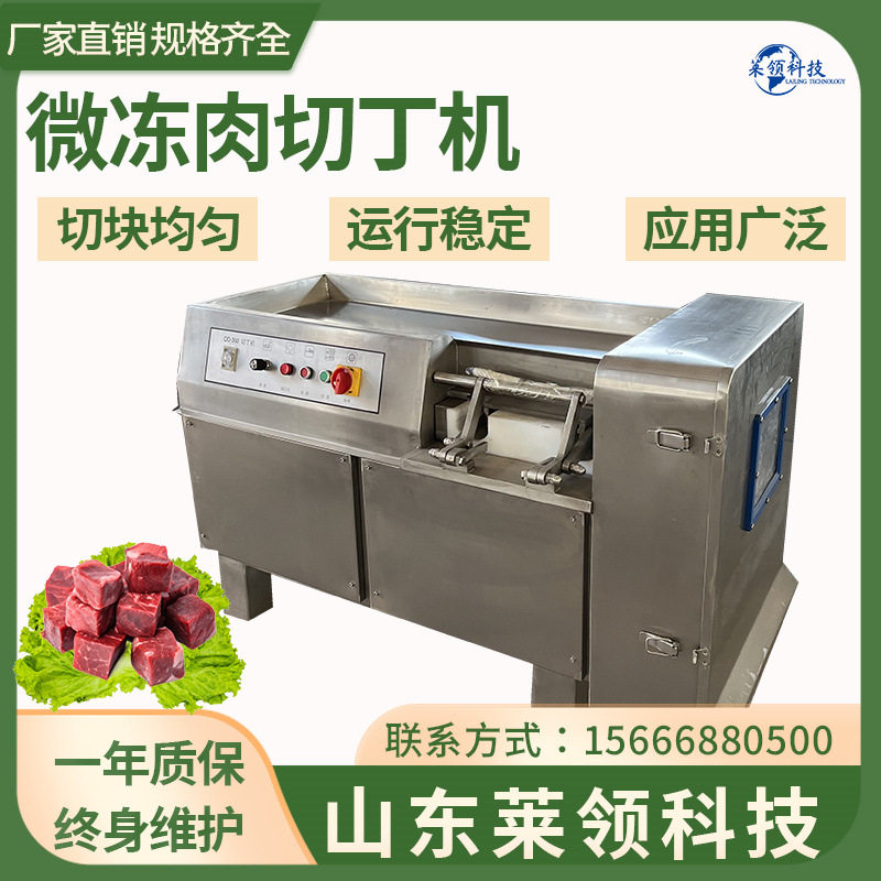 多功能三维微冻肉切丁机 商用350型鸡胸肉切粒机 不锈钢切肉丁机