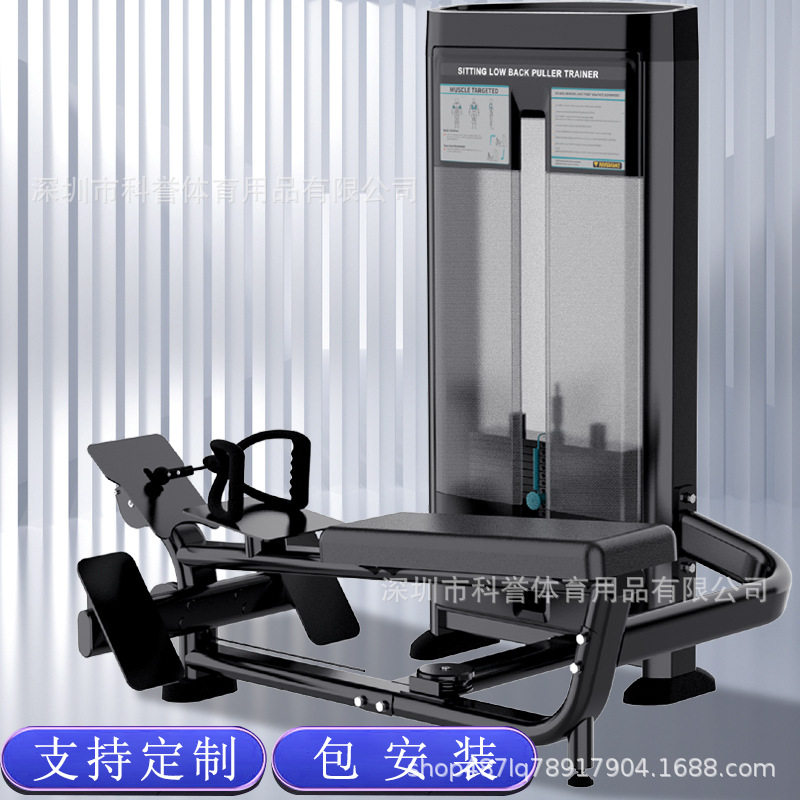 坐式低拉背训练器 商用健身房拉背划船器 肩背部肌肉锻炼健身器材