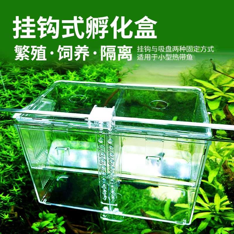 挂钩式孵化盒鱼缸孵化盒隔离盒热带鱼产卵孵化产房鱼苗孔雀鱼幼鱼