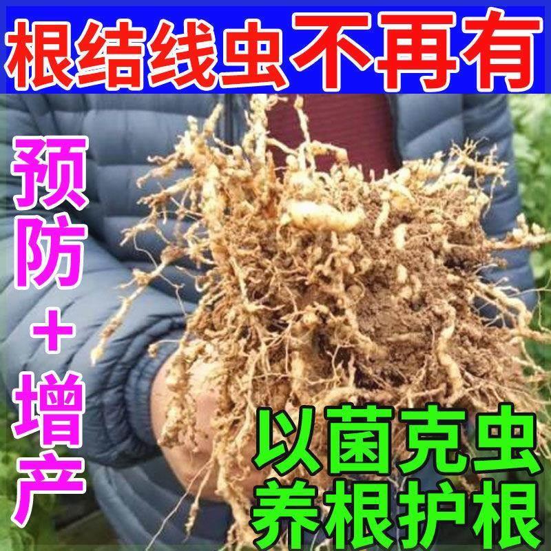 根结线虫专用杀虫灭卵根肿瘪生根持效通用黄瓜西红柿辣椒根线快克