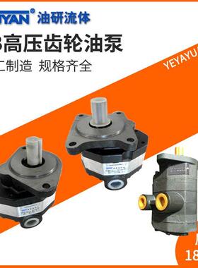 Y2高压2CB齿轮油泵CB-FC10/FA16C18/20/25/31.5/32/40/50-FL FF C