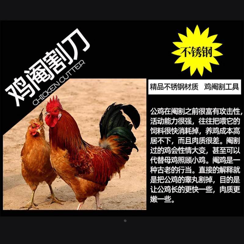 新款不锈钢阉鸡工具全套大鸡专业快速阉割刀小鸡阉割线公鸡阎剦器