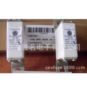 170M2664170M2666170M2667170M2668170M2669170M2670熔断器