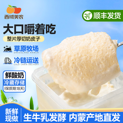 西域美农内蒙古老酸奶plus升级款