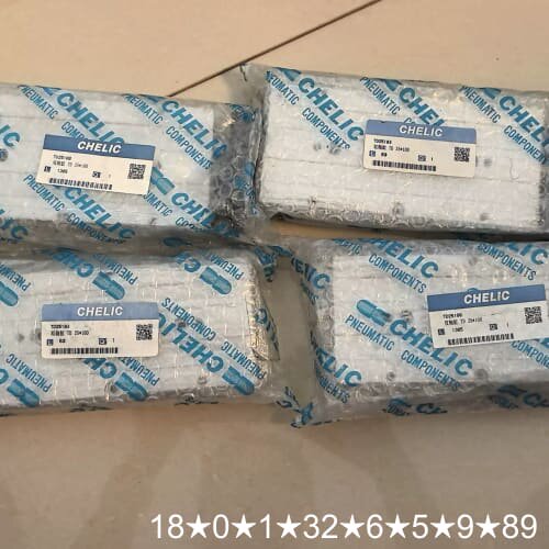 气立可CHELIC双轴气缸TD25*100，，型