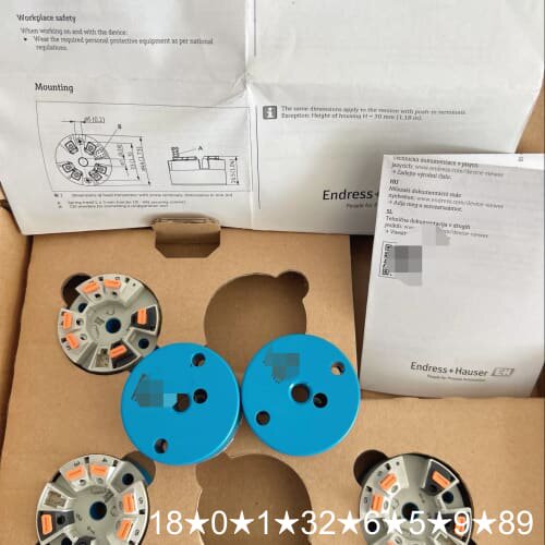 EH EndressHauser iTEMP温度变送器