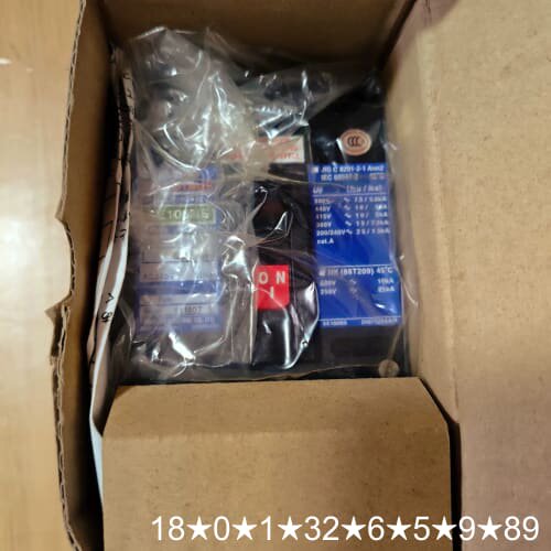 TERASAKI TemBreak断路器 XE100NS 6