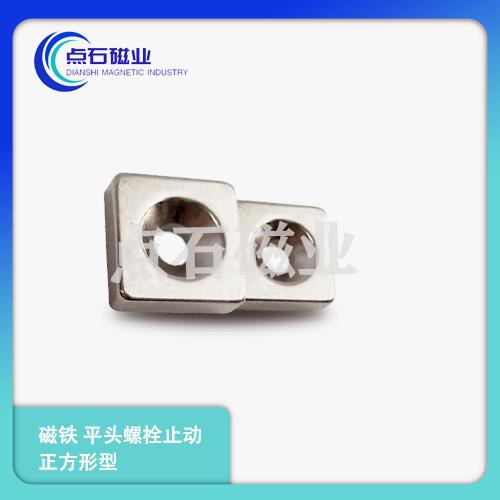 强力耐热钕磁铁平头螺栓止动正方形型NHXCSH10/12/15/20/25-4/4.5