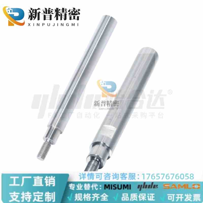 SHJ11-D8 10 12 13-L20-1200-E6-F4-B2-P6-M3-Q3一端台阶内导向轴