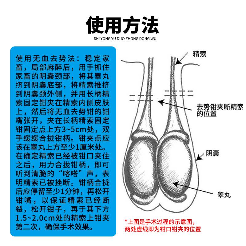 不锈钢血去势钳羊用去势夹阉钳煽羊钳羊蛋钳羊无割用械器牛wcw去