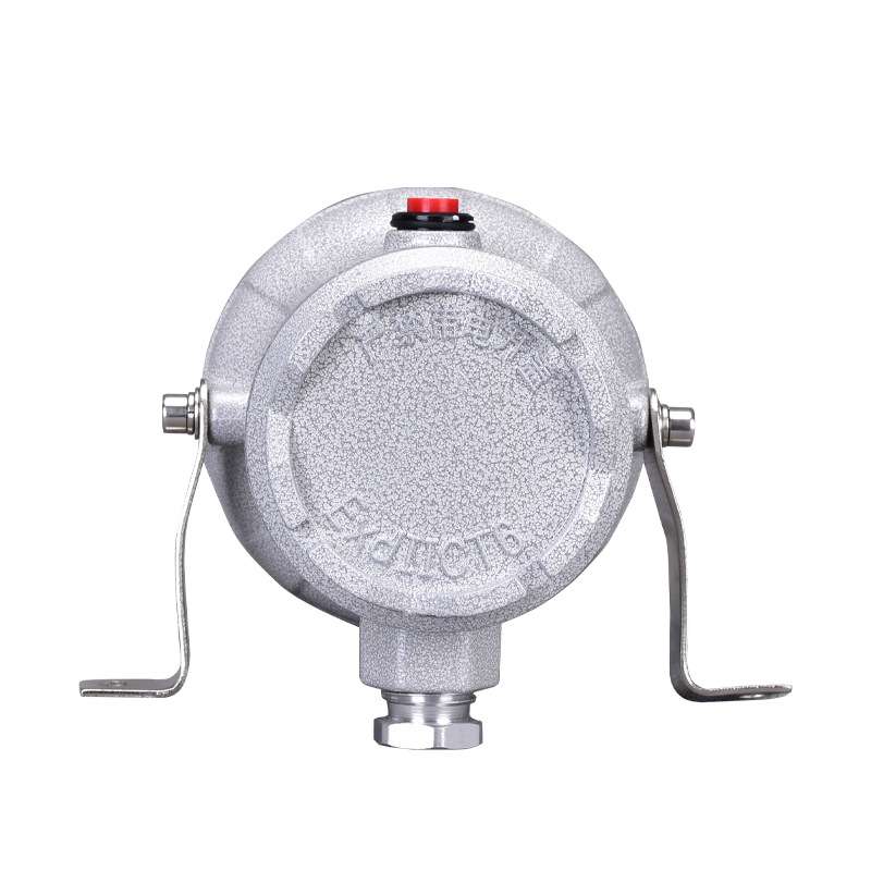 BSD96-A防爆视孔灯 防爆视镜灯观察探照灯 防爆led视孔灯探照灯