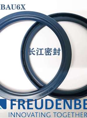 CFW BAFUDSLX7 90-120-12德国进口骨架油封SIMMERRING FREUDENBER