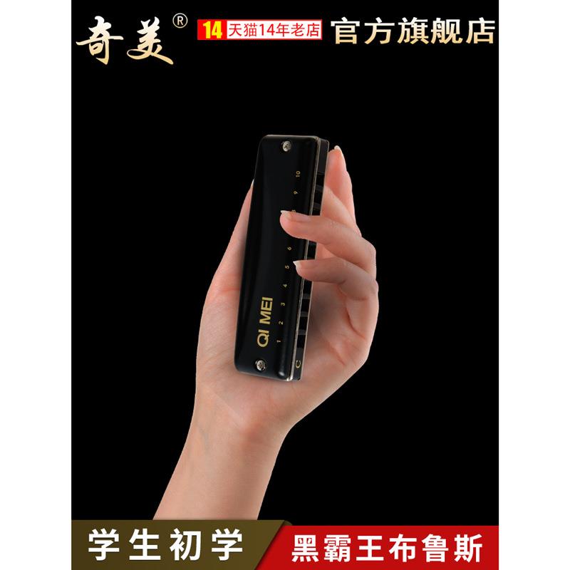 黑霸王布鲁斯口琴10孔演奏版初学者学生自学蓝调奇美专业十孔口琴