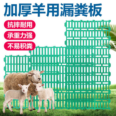 羊圈漏粪板养羊用的漏粪板塑料羊床羊用塑料漏粪床板养羊场用设备