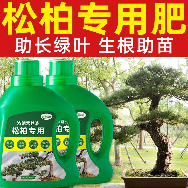松树专用肥松柏肥料罗汉松营养液迎客松绿植盆栽盆景植物复合园艺