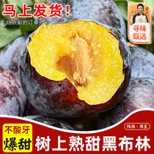 陕西树上熟黑布林李子新鲜应季帝味脆甜水果当季整箱自然熟恐龙蛋